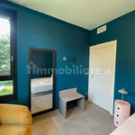 Rent 2 bedroom apartment of 59 m² in Turin