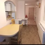 Rent 1 bedroom apartment of 42 m² in Grad Rijeka