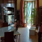 Rent 3 bedroom apartment of 80 m² in Turin