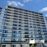 Rent 1 bedroom apartment in Kingston