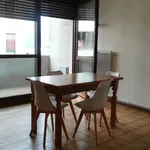 Rent 2 bedroom apartment of 38 m² in Trento