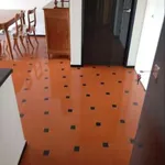 Bilocale arredato con terrazzo Centro