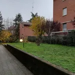 Affitto 1 camera appartamento di 80 m² in bologna