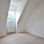 Maison de 611 m² avec 3 chambre(s) en location à Orroir