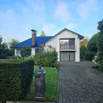 Huur 4 slaapkamer huis in Mol