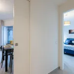 Rent 1 bedroom apartment in Bologna