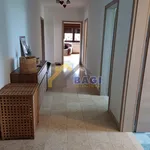 Donji Desinec stan za radnike, stan/apartman, površina 110m2, za najam