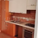 Rent 2 bedroom apartment of 45 m² in Roma