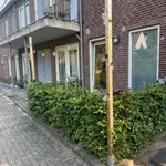 Wolfhezerweg, Wolfheze - Amsterdam Apartments for Rent