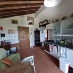 Rent 3 bedroom apartment of 50 m² in Collazzone