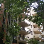 Rent 1 bedroom apartment of 84 m² in toulouse