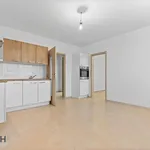 Pronajměte si 2 ložnic/e byt o rozloze 57 m² v Uherské Hradiště