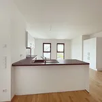 Rent 5 bedroom apartment of 141 m² in Leipzig