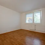 Rent 1 bedroom apartment of 20 m² in Brno