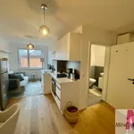 Rent 1 bedroom apartment of 24 m² in Nuremberg