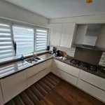 Rent 5 bedroom house of 121 m² in Haarlem