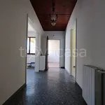 Rent 4 bedroom apartment of 115 m² in Albano Laziale