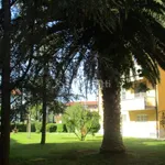 Rent 4 bedroom apartment of 80 m² in Livorno