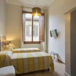 Rent 2 bedroom apartment in florence