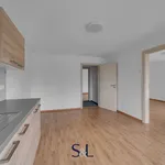 Rent 3 bedroom apartment in Česká Lípa