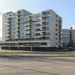 Huur 2 slaapkamer appartement van 75 m² in Struisenburg