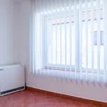 Rent 1 bedroom apartment of 30 m² in Třebíč