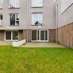 Rent 1 bedroom apartment in Arlon