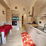 Rent 2 bedroom apartment of 46 m² in Torino