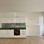 Rent 2 bedroom apartment of 60 m² in Padova