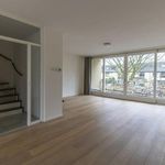 Rent 6 bedroom house of 170 m² in Zeestratenbuurt