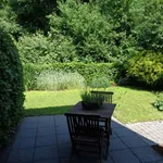 Rent 1 bedroom apartment of 35 m² in Essen