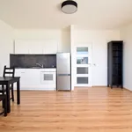 Rent 1 bedroom apartment of 32 m² in Brno