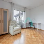 Rent 5 bedroom apartment of 153 m² in Oviedo