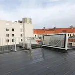 Rent 2 bedroom apartment of 81 m² in The Hague