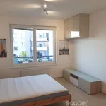 Rent 1 bedroom apartment of 30 m² in Praha