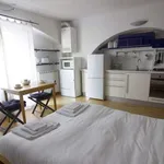 Rent 1 bedroom apartment of 30 m² in milan