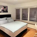 Rent a room of 80 m² in Frankfurt am Main