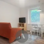 Rent 2 bedroom apartment of 48 m² in Brno