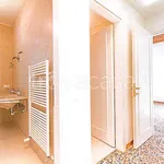 Rent 5 bedroom apartment of 119 m² in Venezia