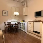 Rent 2 bedroom apartment of 50 m² in Firenze