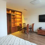 Rent 1 bedroom apartment in Prague