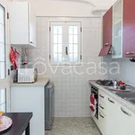 Rent 9 bedroom house of 90 m² in Ostuni