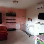 Rent 4 bedroom apartment of 104 m² in Pisa