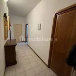 Rent 2 bedroom apartment of 50 m² in Bologna