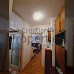 Rent 1 bedroom apartment of 41 m² in City of Zagreb