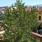 Studio of 40 m² in Prato