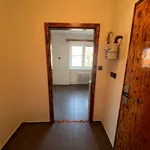 Rent 1 bedroom apartment of 28 m² in Pilsen