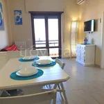 Rent 2 bedroom apartment of 45 m² in Nettuno