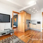 Rent 2 bedroom apartment in Capital City of Prague