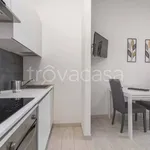 Rent 1 bedroom apartment of 45 m² in Torino